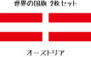 オーストリア 国旗 水無しで貼れる タトゥーシール シール 応援 フェイスシール フェイスペイント スポーツ サッカー ラグビー テニス サーフィン 柔道 野球...