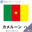 カメルーン 国旗 水無しで貼れる タトゥーシール シール 応援 フェイスシール フェイスペイント スポーツ サッカー ラグビー テニス サーフィン 柔道 野球 ...