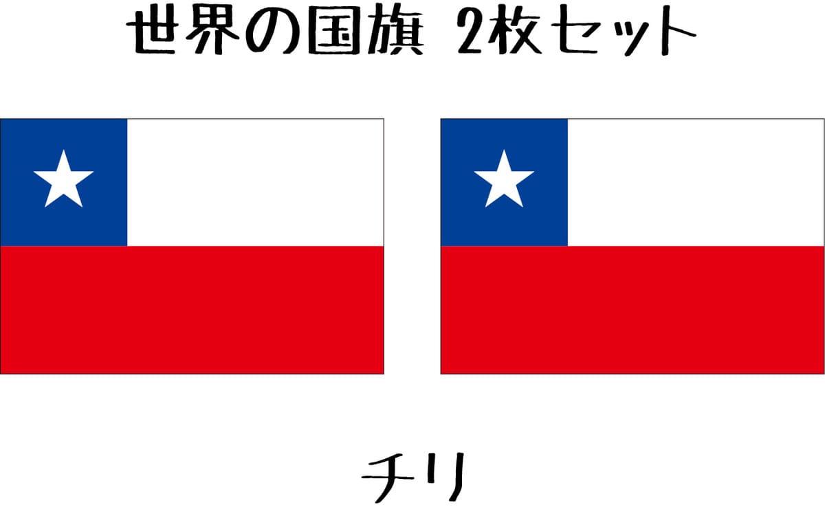 チリ 国旗 水無しで貼れる タトゥーシール シール 応援 フ