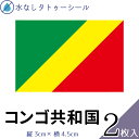 コンゴ共和国 国旗 水無しで貼れる タトゥーシール シール 