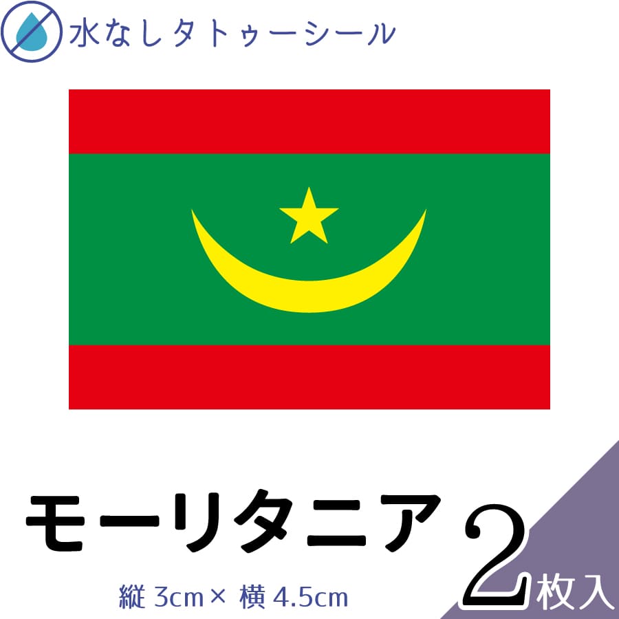 モーリタニア 水無しで貼れる タトゥーシール シール 応援 フェイスシール フェイスペイント スポーツ サッカー ラグビー テニス サーフィン 柔道 野球 バレ...