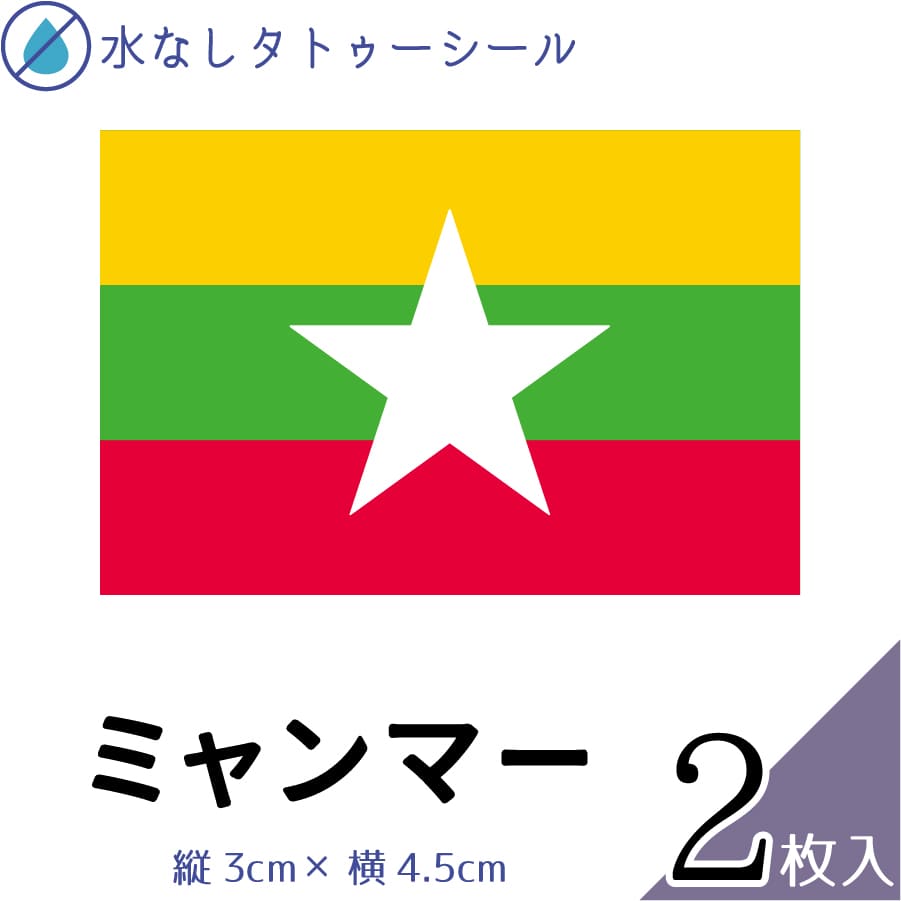 ミャンマー 水無しで貼れる タトゥーシール シール 応