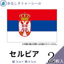 セルビア 水無しで貼れる タトゥーシール シール 応援 フェイスシール フェイスペイント スポーツ サッカー ラグビー テニス サーフィン 柔道 野球 バレー バスケ 水泳 体操 フェス イベント 観戦 野外 パーティー 祭 顔 国旗シール 【メール便送料無料】