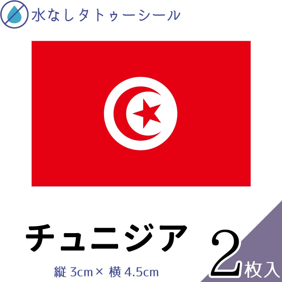 チュニジア 国旗 水無しで貼れる タトゥーシール シール 応援 フェイスシール フェイスペイント スポー..