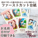 ファーストカット 名入れ 赤ちゃん ファーストヘアカット 台紙 髪の毛 胎毛 産毛 胎毛アート 産毛アート ファーストカットアート 胎毛筆 産毛筆 四季 春 夏...