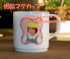https://thumbnail.image.rakuten.co.jp/@0_mall/printbank/cabinet/mag1.jpg