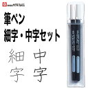 サクラクレパス 筆ペン かきかたフェルトペン 細字 中字セット 黒 硬筆書写用 書き初め 書道 年賀状 SAKURA Calligraphy Brush pen FK-2SM