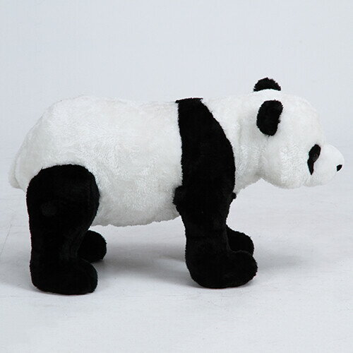 �ڥ��˥ޥ륹�ġ��� �¤��̤�����ߡ� �ػ� ���� �ѥ�� ��� �ۥӡ� ���˥ޥ� ���襤�� ������ �����ǰ�