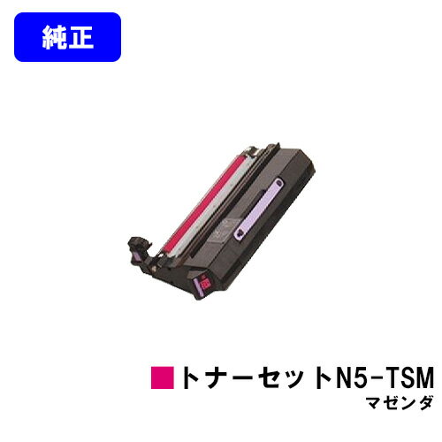 カシオ（CASIO） トナーセットN5-TSM マゼンダ【純正品】【即日出荷】【送料無料】【特価品(箱に傷 汚れあり)】【SPEEDIA N5100/N5300/N5100SC/N5300SC/N5/N5-P/N5II/N5II-P/N5II-SC】