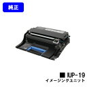 コニカミノルタ イメージングユニット IUP-19