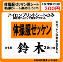体操服 名前 プリント シート H3.5cm ラバー ぜっけん(4)