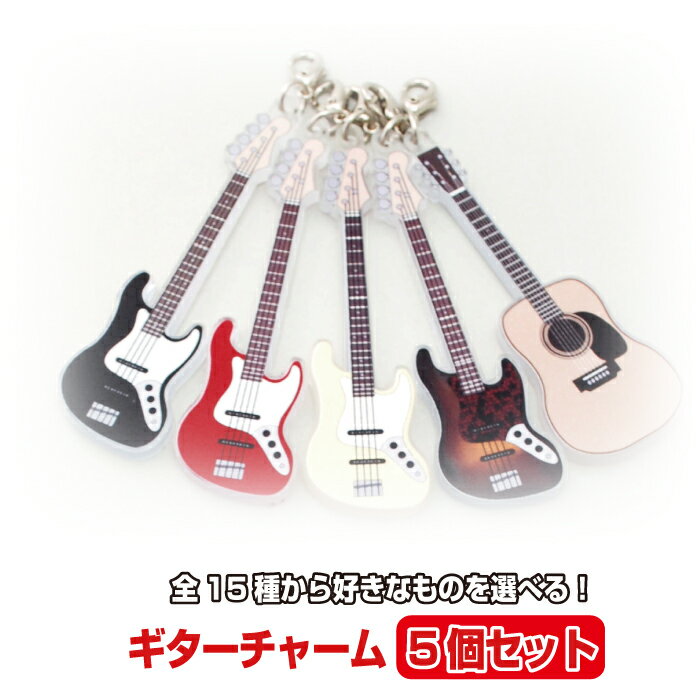 ギターチャーム5個セット【税込3,980