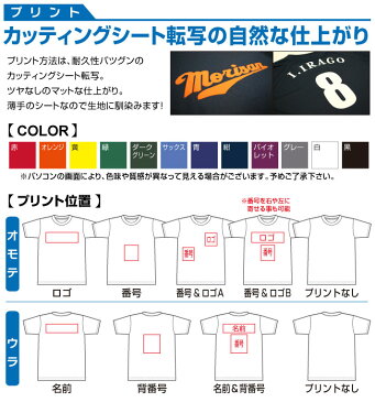 【送料無料】部活やサークルの仲間と！オリジナルチームTシャツ（ドライ）★10〜19枚【ドライ】【個別背番号】【ロゴ】【マラソン】【サッカー】【フットサル】【バレーボール】【ゼッケン】