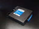 只今ポイント10倍 GC21CH リコー用 GC21H 互換インク 顔料 増量 Lサイズ シアン 顔料シアン(ジェルインク) IPSIO GX 5000 IPSIO GX 7000