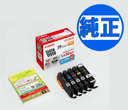  キヤノン(CANON) 純正インク BCI-381+380 インクカートリッジ 5色セット BCI-381+380/5MP PIXUS TR703 PIXUS TR7530 PIXUS TR8530 PIXUS TR8630
