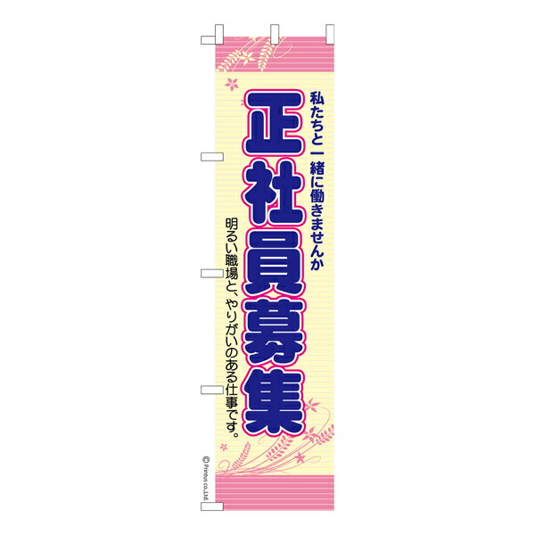 Rakuten - 【マラソン中当店ポイント10倍 】 スリム のぼり旗 正社員募集中 求人 既製品のぼり 納期ご相談ください 450mm幅