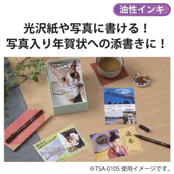 【マラソン中全品ポイント10倍 】 呉竹 Kuretake くれ竹 油性筆ぺん 黒 JNF55-10S