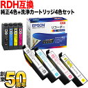 RDH リコーダー エプソン用 純正インク 4色セット 洗浄カートリッジ4色用セット 純正インク＆洗浄セット PX-048A PX-049A