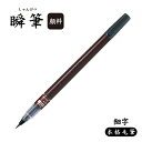 只今ポイント10倍 PILOT パイロット 瞬筆 本格毛筆 顔料インキ 黒 細字 SVSG-80FDF-B 黒・細字
