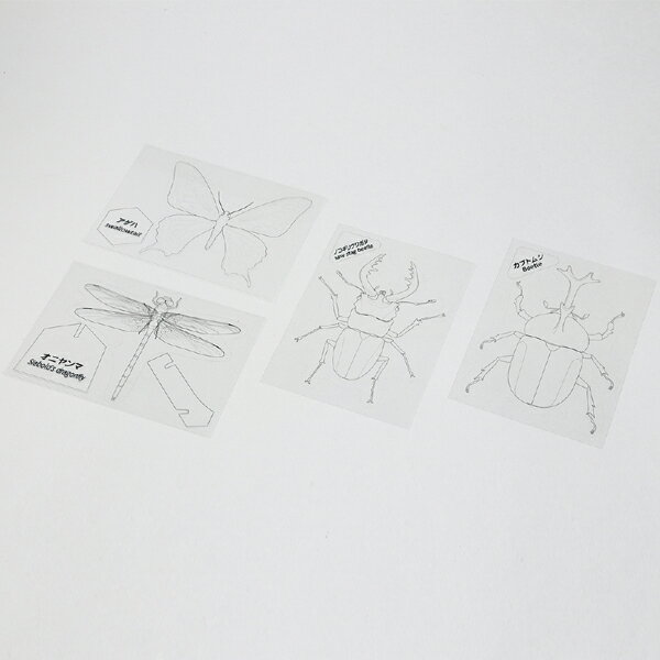 【お買い物マラソンと当店ポイント10倍 】 アーテック Artec プラ板でつくる昆虫図鑑 2