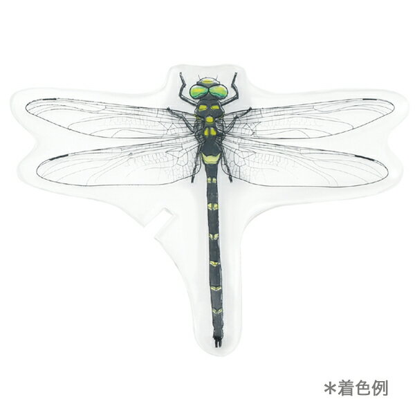 【お買い物マラソンと当店ポイント10倍 】 アーテック Artec プラ板でつくる昆虫図鑑 3