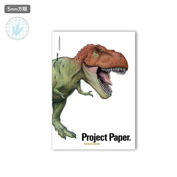 �ڥ����ѡ����������Ź�ݥ����10�� �� ������ OKINA �ץ��������ȥΡ��� �����ʥ��� �ƥ���Υ����륹 PN3806