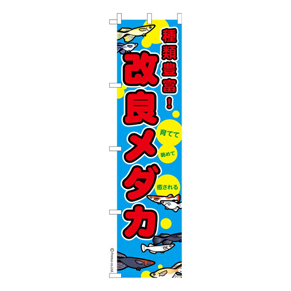 雑貨|販促グッズ|既製品のぼり商品名「のぼり旗 改良メダカ 2 既製品のぼり 高品質デザイン【メール便可】」名入れのぼり旗も扱っている姉妹店「はたはた旗」製作の既製デザインのぼり旗です。 見た目のインパクトに加え、デザイン性が高く顧客に提供サービスのイメージをしっかりと伝え、集客において他店をリードで出来ます。のぼり ｜ のぼり旗 ｜ 暖簾 ｜ のれん ｜ 横断幕 ｜ イベント ｜ 目高 ｜ 希少種 ｜ 改良めだか ｜ 観賞魚 ｜ アクアトープ ｜ 飼育 ｜ 販売※当店ののぼり旗デザインおよび内容は著作権により保護されております。当店の著作物の無断転載・流用を固く禁じます。色:改良メダカ 2サイズ:スリム:450mm×1800mm素材:テトロンポンジ印刷面:片面印刷になります。裏側は表面が透ける状態で色が薄めになります。「適切なサイズの選び方」サイズは一般的な600mm幅とスリムな450mm幅の2種類が有ります。狭い道路や歩行者へアピールする場合は邪魔にならないようスリム。車道や遠くからも確認できるようにしたい場合は600mmがより効果的です。仕上げは熱による布の裁断でほつれを防止しています。・チチテープ(棒通し部)は向かって左側。・防炎性はありません。・のぼり立て台やポールは別売りです。・画面上の色と実際の色は若干異なる場合があります。・のぼり旗のデザインは予告なくマイナーチェンジする場合が御座います。在庫状況次第で新旧いずれかのデザインでのお渡しになる場合もございますので、指定が御座います場合はご連絡下さい。