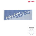 オキナ OKINA プロジェクトペーパー B5ハーフサイズ 5mm方眼 淡タンザナイト罫 PH1668