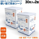 リラシーツ 使い捨て 防水 シーツ 大判 抗菌 Lサイズ 30枚入2セット【送料無料】介護 赤ちゃん ペット おねしょ 汚れ防止 お漏らし 災害 60枚