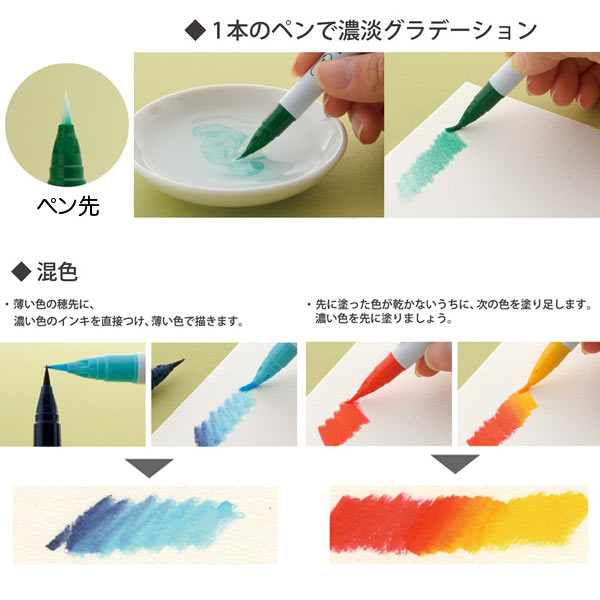 【マラソン中当店ポイント10倍 】 呉竹 Kuretake ZIGクリーンカラーリアルブラッシュ 12色セット RB-6000AT/12VA