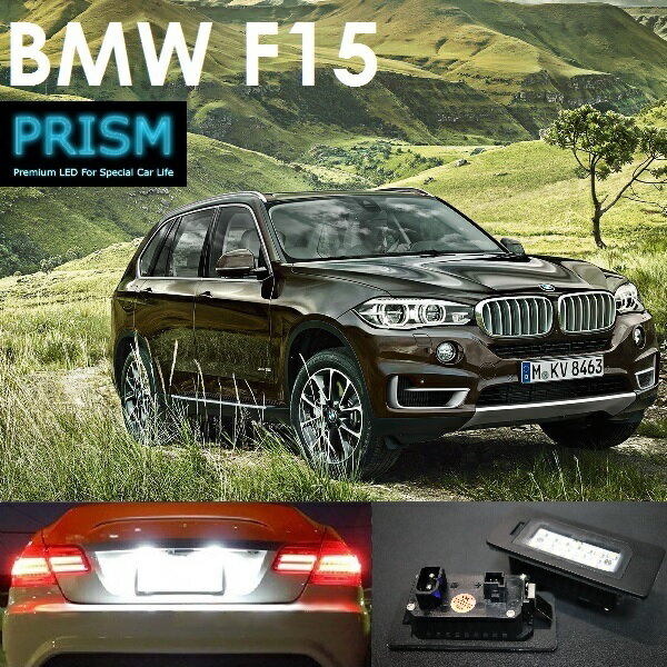 BMW X5 F15 LED ナンバー灯 ライセンスランプ 純正交換型 キャンセラー内臓 ブラックアルミヒートシンク搭載 一年保証付