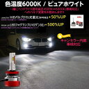 prism-led:10006085のサンプル画像3