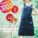 【6/11 01:59まで!】【クーポン利用300円OFF】 【正規品】 エプロン Lee オーバーオール デニムエプロン ヒッコリー ワーク 男性用 女性用 ...