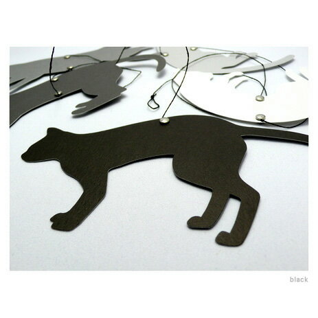 キャット イン モーション cat in motion キャット イン モーション cat in motion