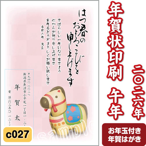 年賀状 印刷 2025 巳 令和7年 年賀はがき 名入れ カラー