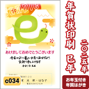 年賀状 印刷 2024 辰 令和6年 年賀はがき 名入れ カラー