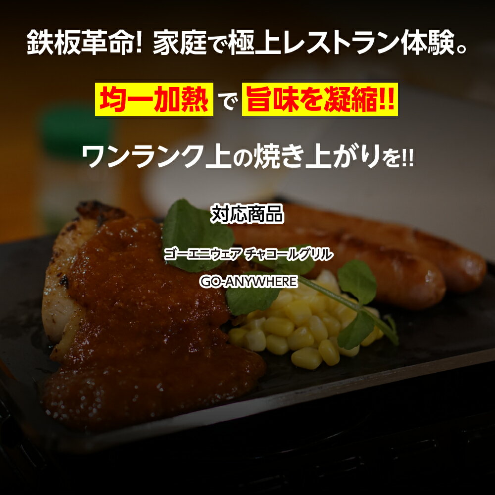 【レビュー特典有り】ウェーバー ゴーエニウェア 専用 極厚鉄板 6mm 4.5mm 3.2mm W...