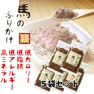 【熊本馬肉】5袋セットでお得!馬のふりかけ/犬/手作りフード/健康/食材/無添加/【RCP】【10P03Sep16】