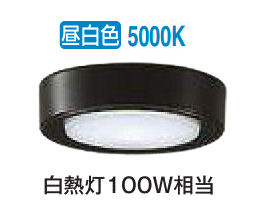 大光電機 薄型シーリングダウン DCL42145W 昼白色 白熱灯100W相当 工事必要
