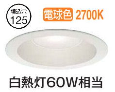 大光電機 屋内・屋外兼用ベースダウンライト DDL5691YW 電球色 Φ125 白熱灯60W相当 工事必要