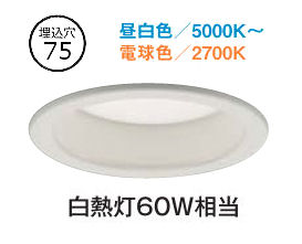 大光電機 ダウンライト DDLCD020W 調光調色 信号線不要タイプ Φ75 白熱灯60W相当 工事必要