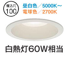 大光電機 ダウンライト DDLCD022W 調色調光 Φ100 白熱灯60W相当 工事必要