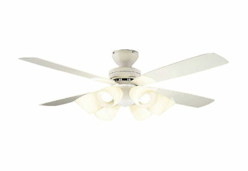 ※メーカー欠品中※ 大光電機 灯具一体型 CCF111W