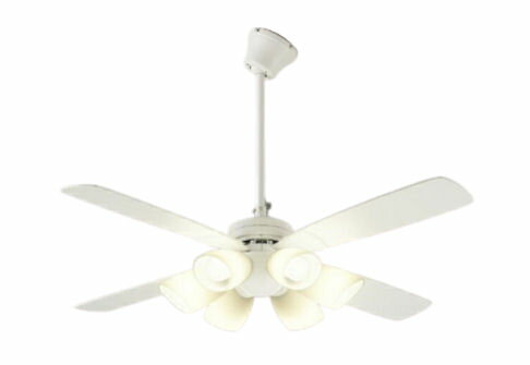 大光電機 灯具一体型 CCF112W4