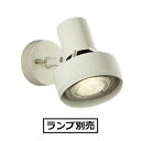 大光電機 アウトドアスポット DOL3765XW(ランプ別売) 工事必要