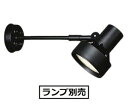 大光電機 アウトドアスポット (ランプ別売) DOL3766XB 工事必要