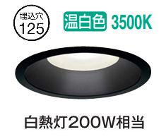 大光電機 ダウンライト(軒下兼用) DDL4920ABG 工事必要