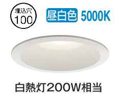 大光電機 ダウンライト(軒下兼用) DDL4971WWG 工事必要