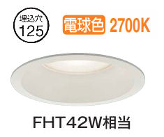 大光電機 高天井用ダウンライト(軒下使用可) DDL5442YWG 工事必要