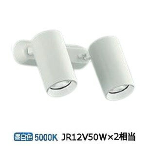 大光電機 スポットライト 屋内用 DSL5399WWG 工事必要